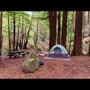 Meet your Posher, Chad